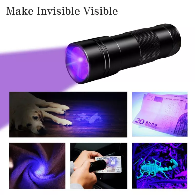 BLACKLIGHT lampe de poche à lumière noire LED UV lampe de